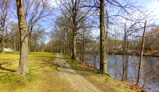 Mystic River Reservation - Arlington, MA - DSC00765