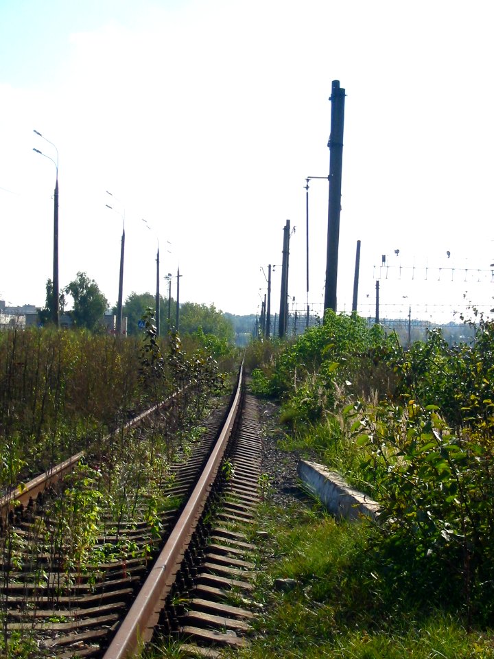 Mytishi-Pirogovo railway line 5353 (53)