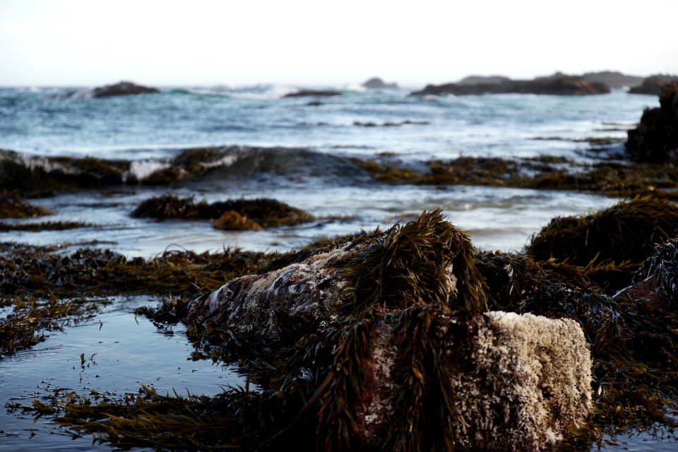 Mystery Bay, Eurobodalla National Park, New South Wales, Australia 33