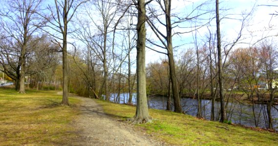 Mystic River Reservation - Arlington, MA - DSC00750