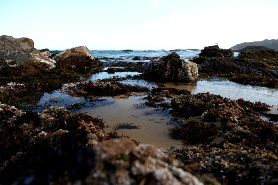 Mystery Bay, Eurobodalla National Park, New South Wales, Australia 28