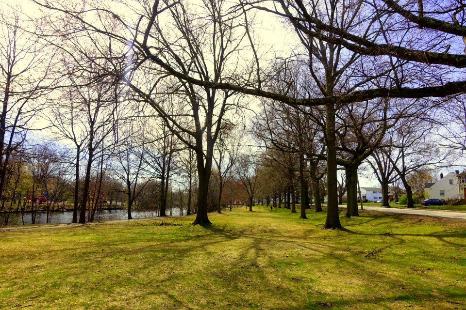 Mystic River Reservation - Arlington, MA - DSC00754