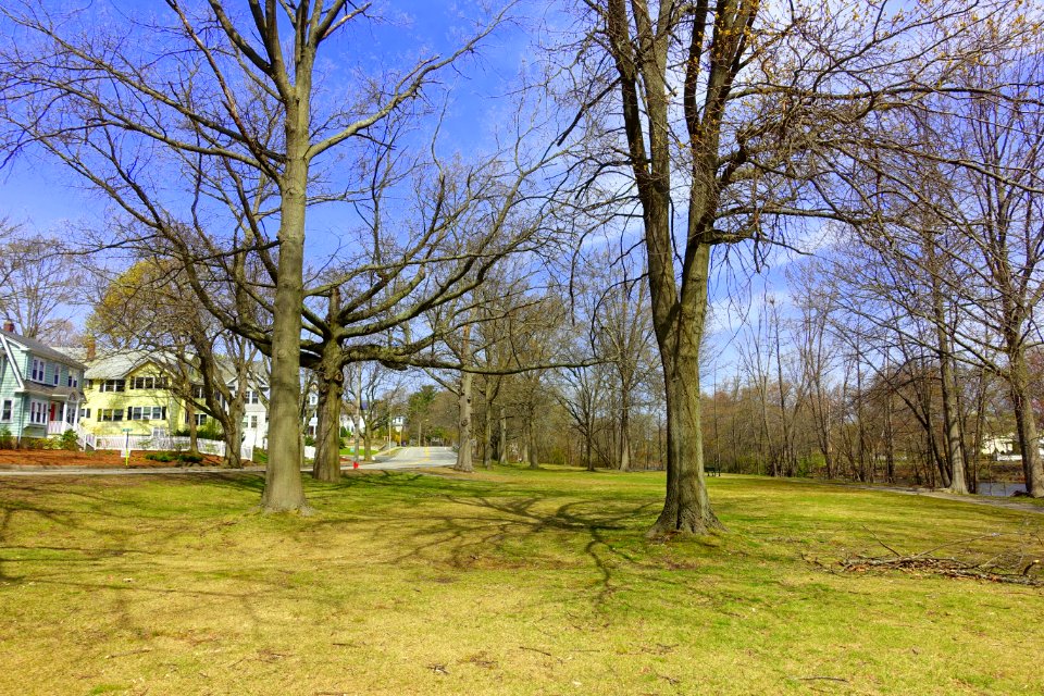 Mystic River Reservation - Arlington, MA - DSC00761