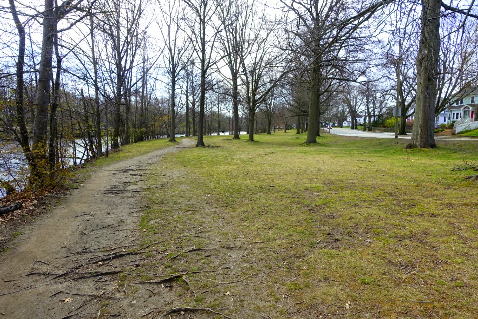 Mystic River Reservation - Arlington, MA - DSC00743