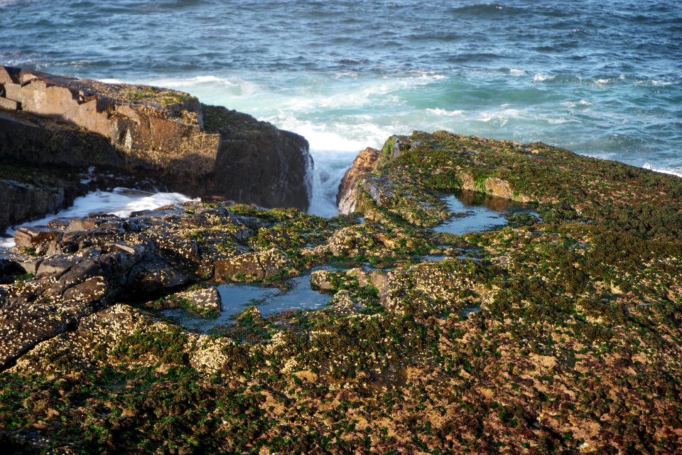 Mystery Bay, Eurobodalla National Park, New South Wales, Australia 40
