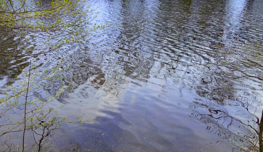 Mystic River - Arlington, MA - DSC00738