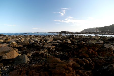 Mystery Bay, Eurobodalla National Park, New South Wales, Australia 17