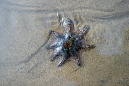 Mystery Bay, Eurobodalla National Park, New South Wales, Australia 20