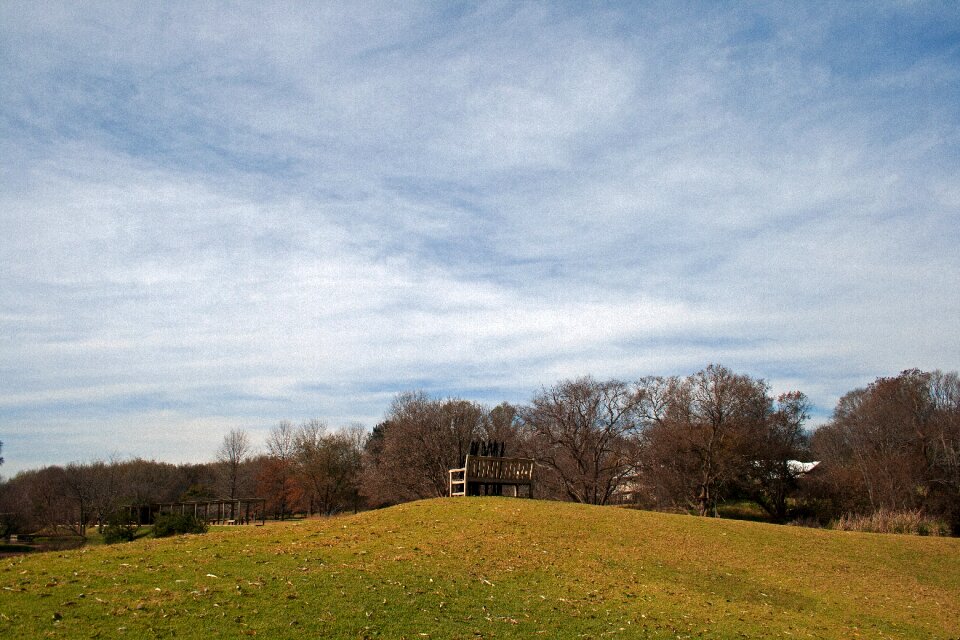 Park lawn green photo