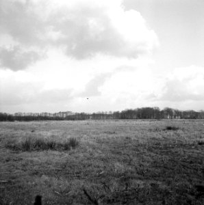 Nabij spoorlijn boxtel - tilburg, Bestanddeelnr 162-0403