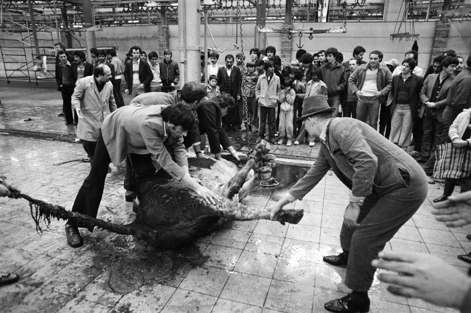 Naar schatting 200.000 Moslims in ons land vierden vanaf zaterdag het offerfeest, Bestanddeelnr 931-0928