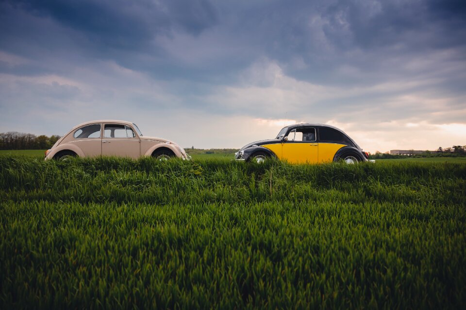 Cars countryside field