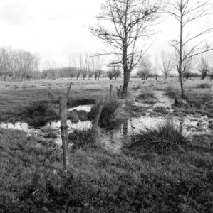 Nabij spoorlijn boxtel - tilburg, Bestanddeelnr 162-0402