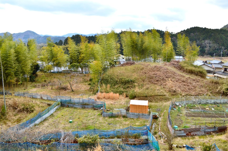 Nakanawate Kofun, zenkei