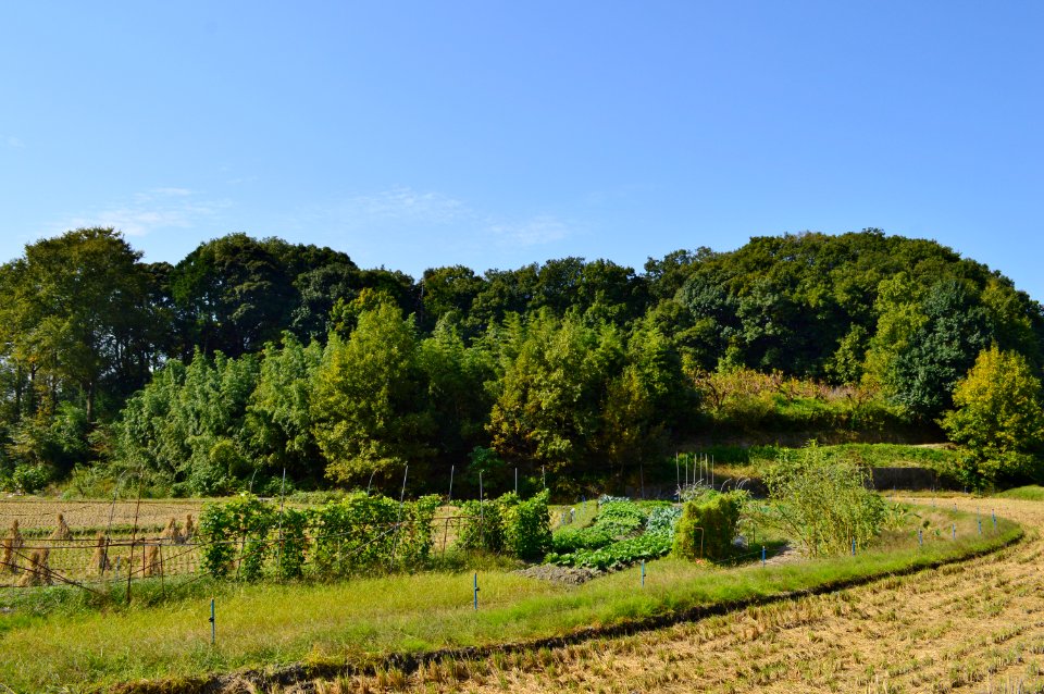Nakayama Otsuka Kofun, zenkei
