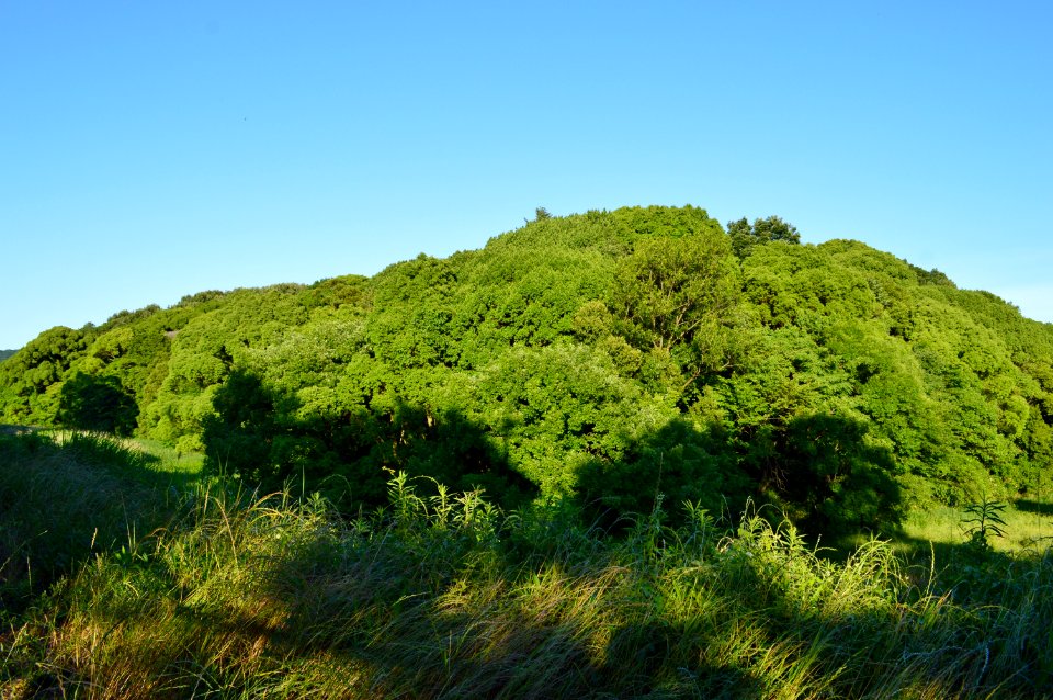 Nakatsuyama Kofun, funkyu