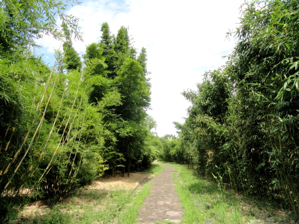 Nagai Botanical Garden - DSC07692