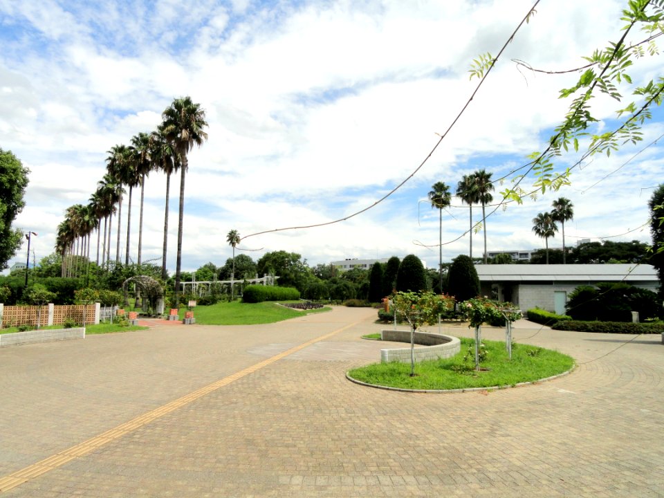 Nagai Botanical Garden - DSC07698