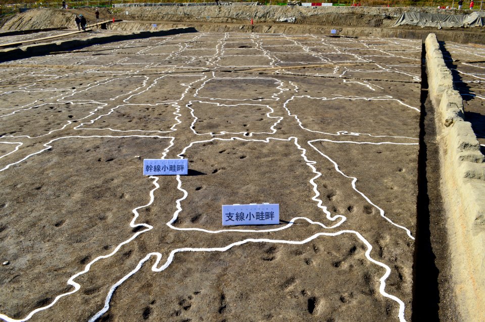 Nakanishi Site (Gose) in 2019-2