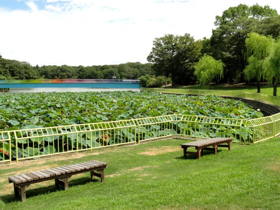 Nagai Botanical Garden - DSC07628