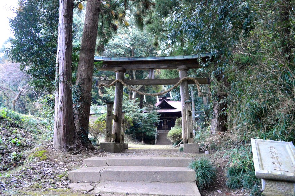 Nagahatabe-jinja (Hitachiota) torii