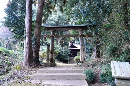 Nagahatabe-jinja (Hitachiota) torii