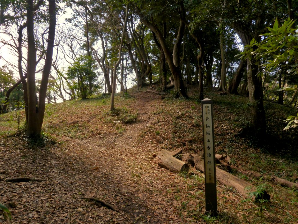 Nagae-Sakurayama Kofun-gun 2gou