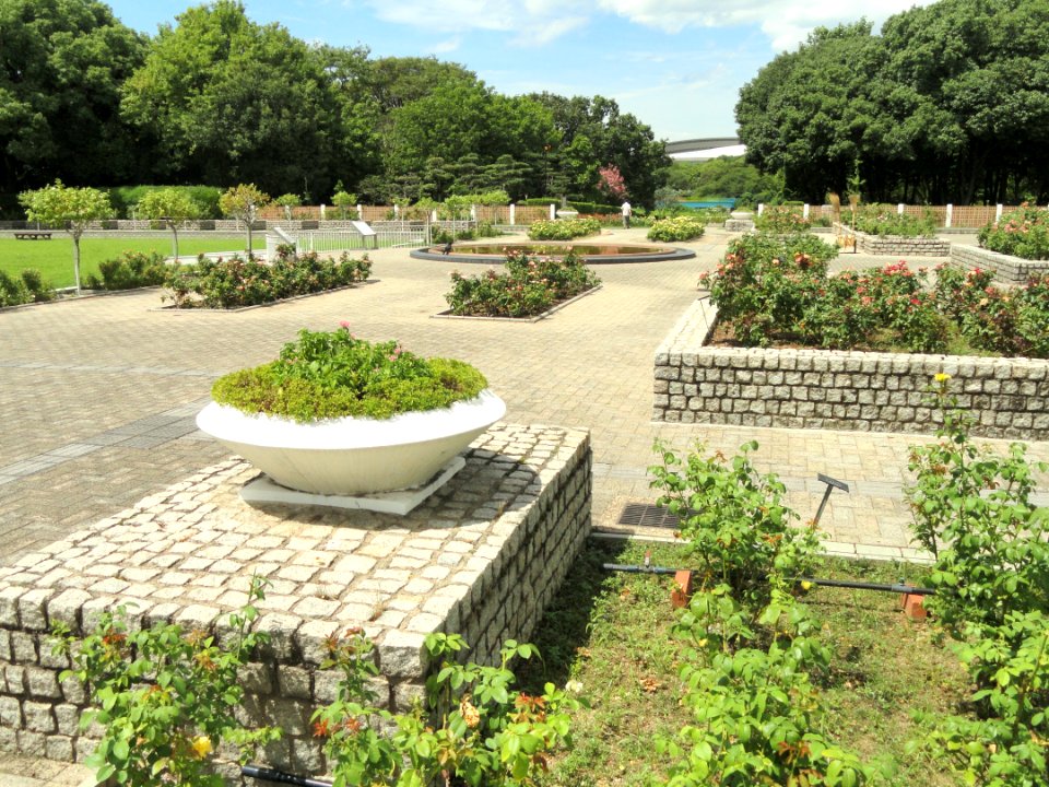 Nagai Botanical Garden - DSC07696
