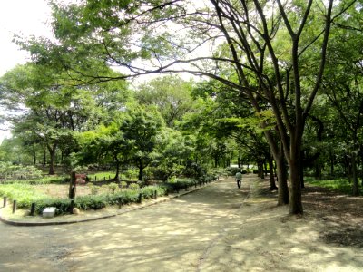 Nagai Botanical Garden - DSC07680