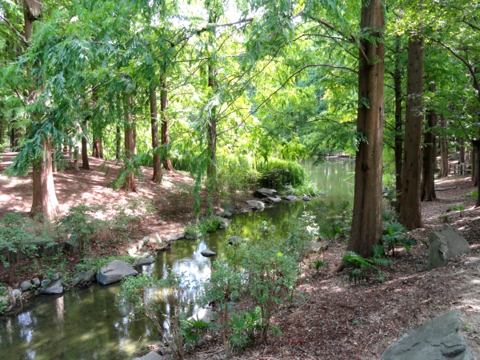 Nagai Botanical Garden - DSC07668