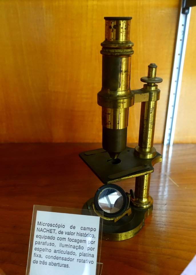 Nachet microscope - Museu Botânico da Universidade de Coimbra - University of Coimbra - Coimbra, Portugal - DSC08997