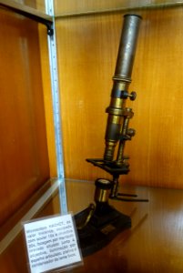 Nachet microscope - Museu Botânico da Universidade de Coimbra - University of Coimbra - Coimbra, Portugal - DSC08995