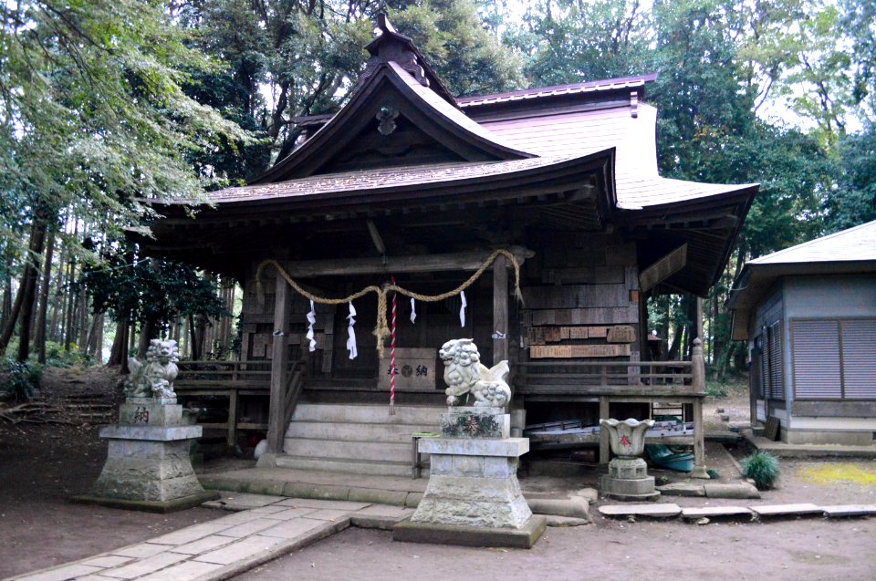 Nagahatabe-jinja (Hitachiota) haiden
