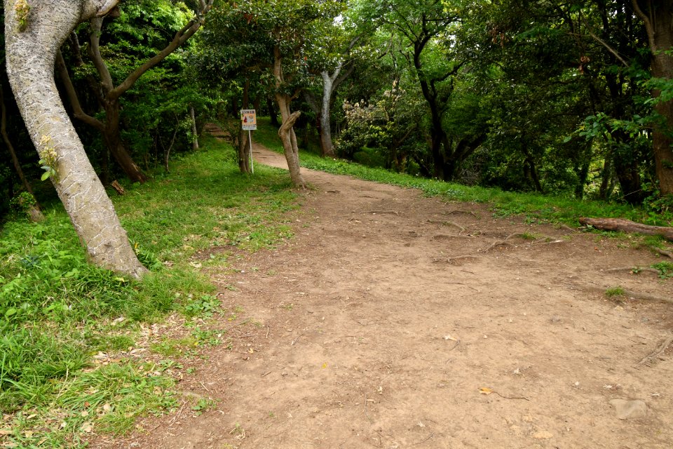 Nagae-Sakurayama Kofun Group-2, funkyu