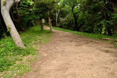 Nagae-Sakurayama Kofun Group-2, funkyu