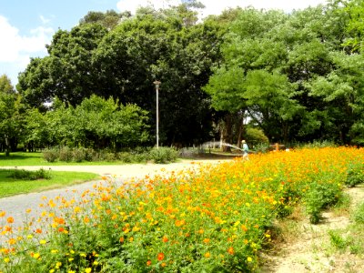 Nagai Botanical Garden - DSC07693