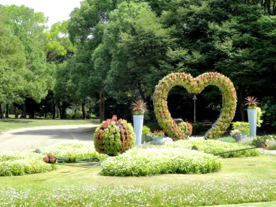 Nagai Botanical Garden - DSC07624
