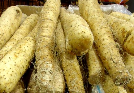 Nagaimo at Asian supermarket in New Jersey