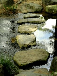 Nagai Botanical Garden - DSC07673