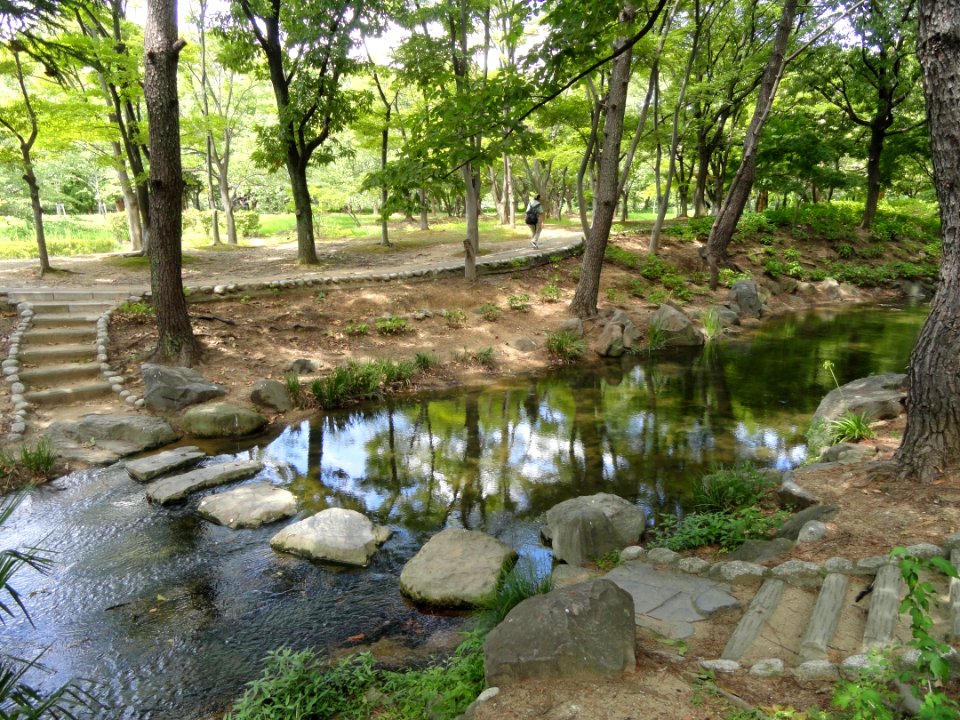 Nagai Botanical Garden - DSC07674