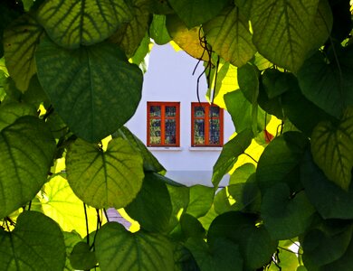House architecture framed