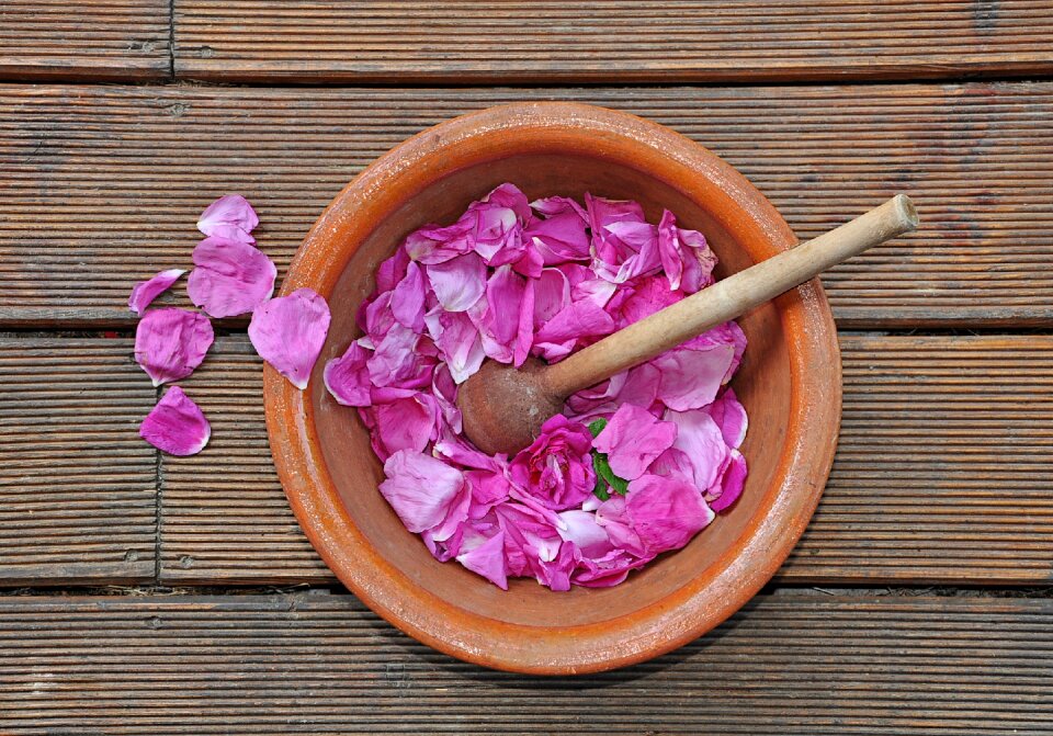 Ucieranie rose petals garden