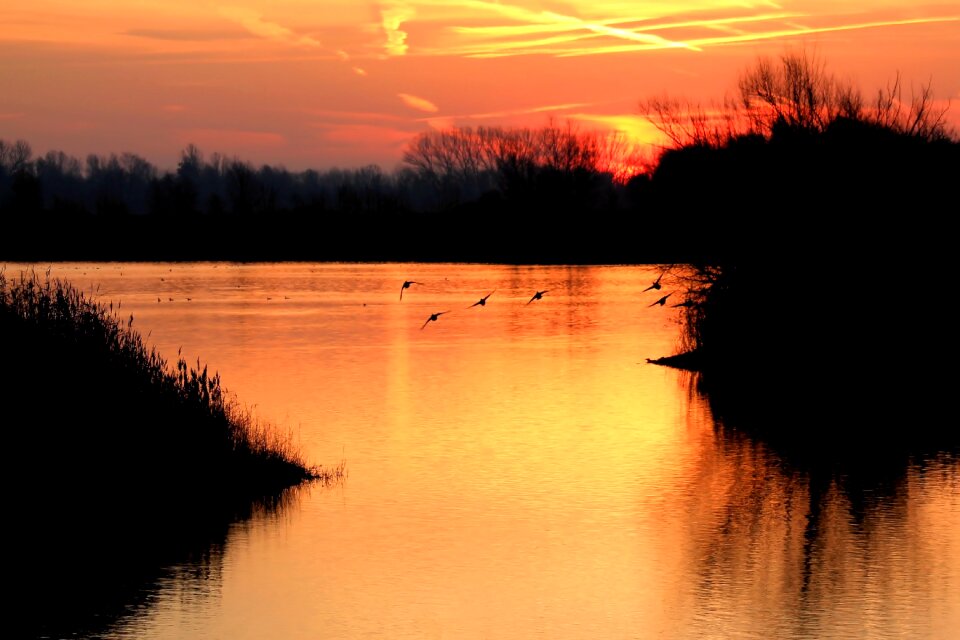 Nature mood morgenstimmung