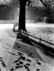 Nachtopname van een besneeuwd Vondelpark, Bestanddeelnr 252-0321