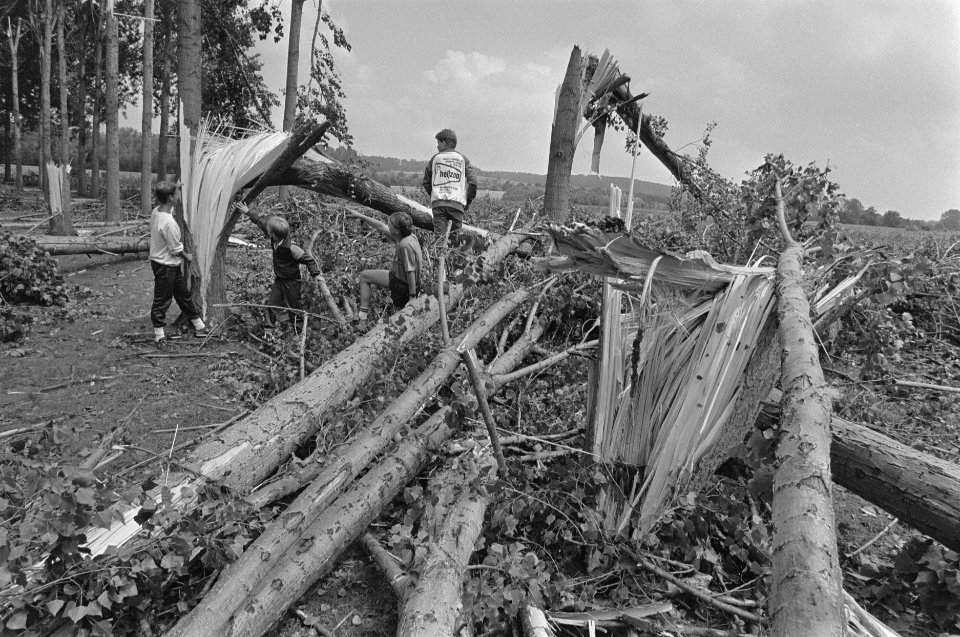 Na noodweeer in Limburg omgewaaide bomen, Bestanddeelnr 933-3772