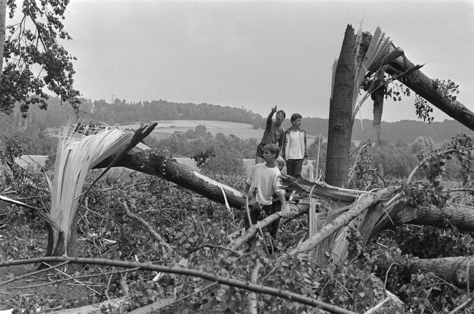 Na noodweeer in Limburg omgewaaide bomen, Bestanddeelnr 933-3773