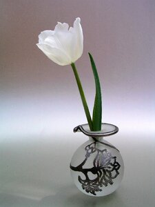 Vase flower tulip photo