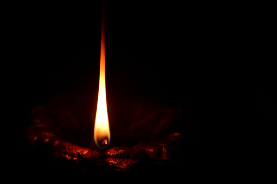 Oil wick black light