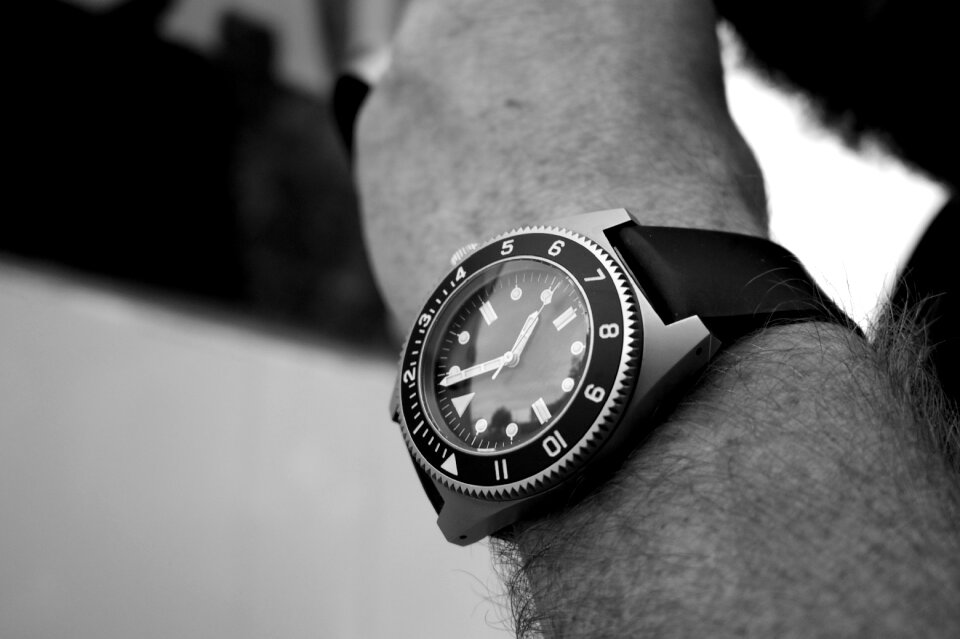 Timepiece watch wristwatch