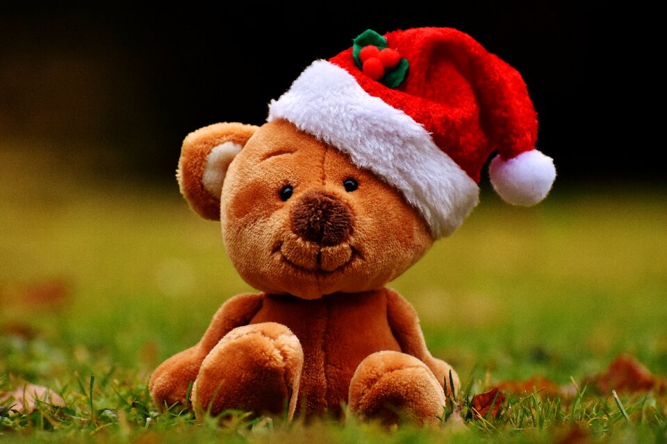 Soft toy santa hat funny